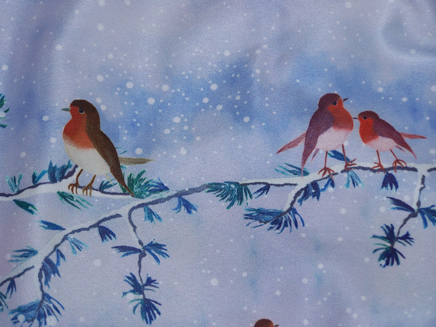 Lindy Bop 'Kara' Snowy Robin Print Vintage Christmas Kitsch Swing Dress