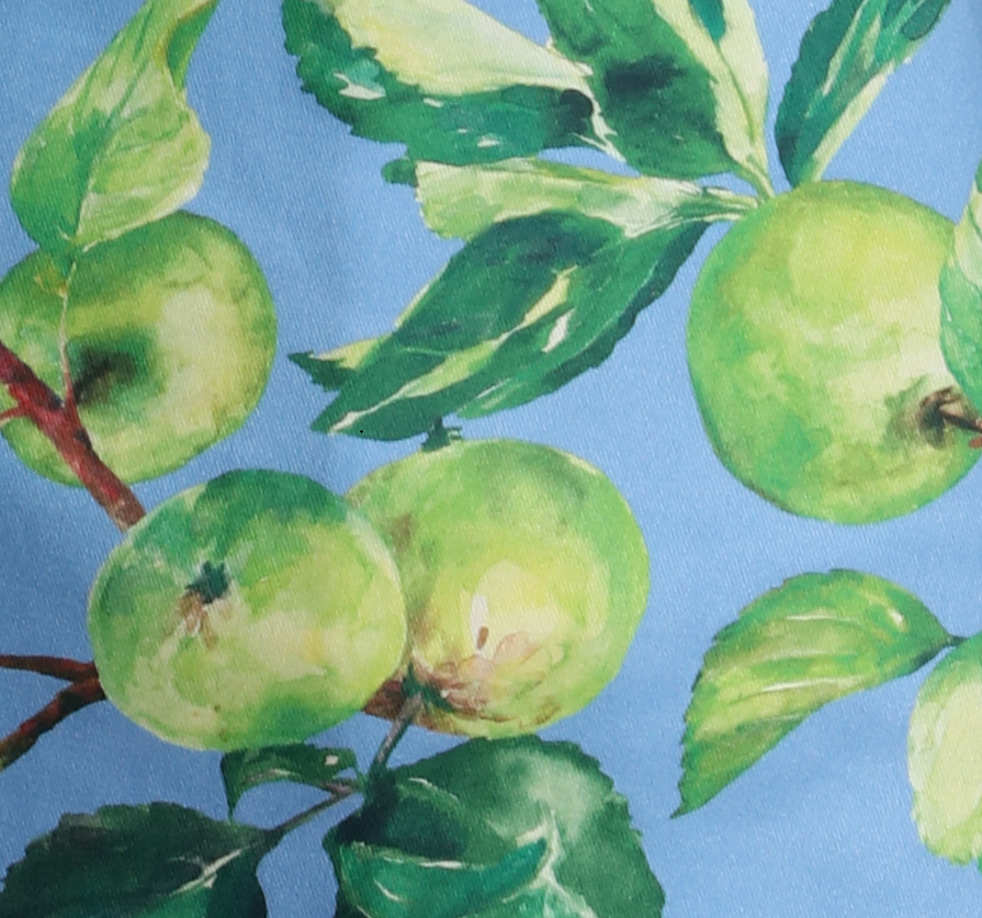 'Willow' Watercolour Apples Print Shirt Dress